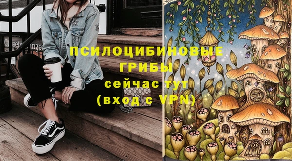 стафф Балахна