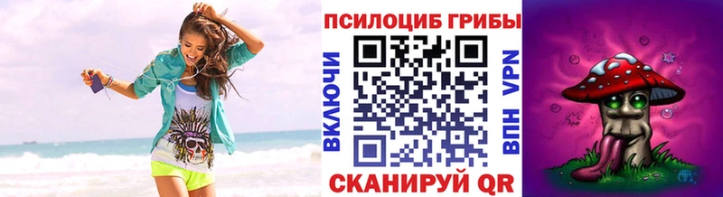 omg ТОР Зеленоградск Галлюциногенные грибы GOLDEN TEACHER
